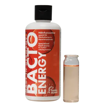 BACTO ENERGY